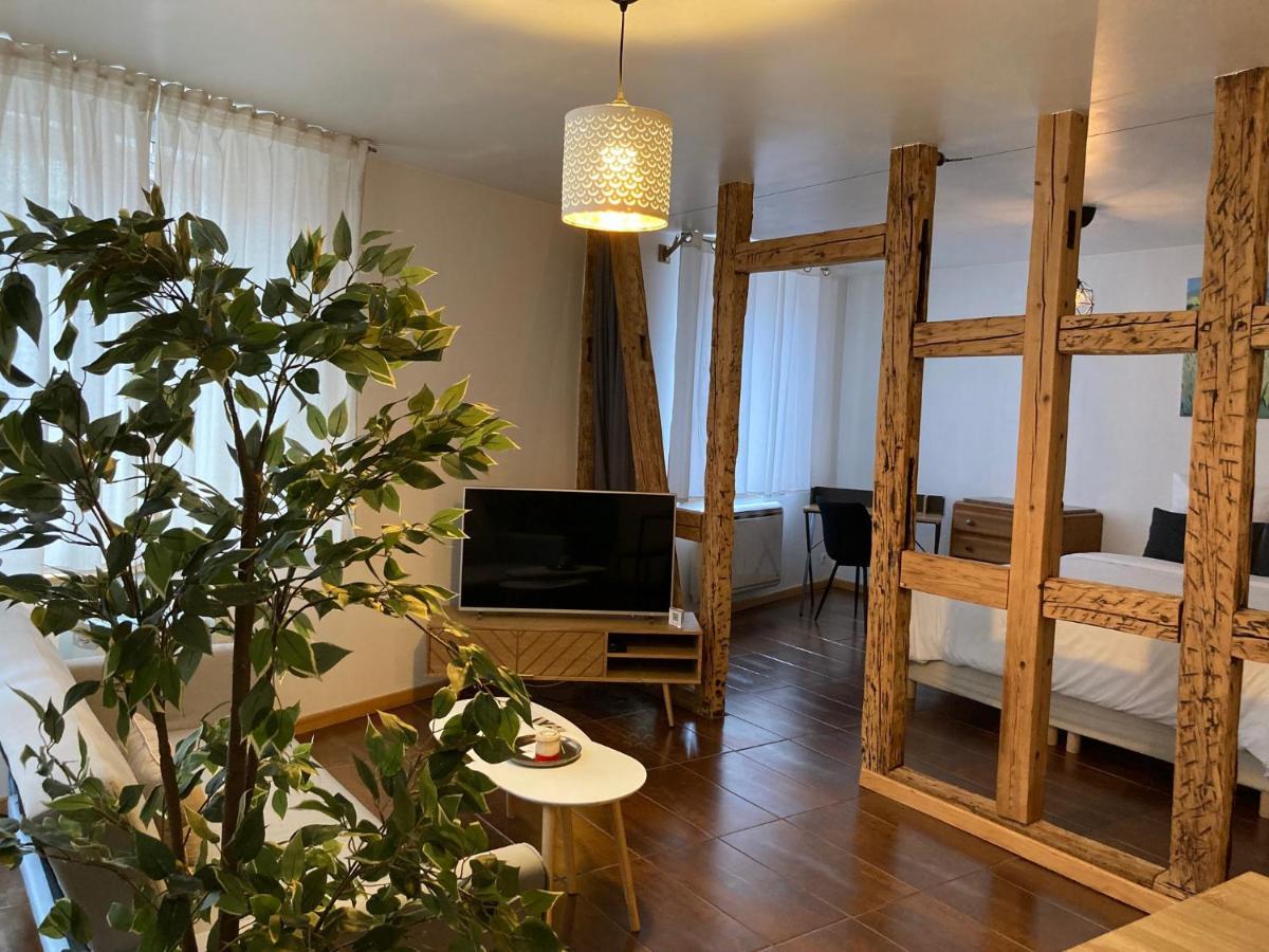 Parenthese Alsacienne Apartamento Schiltigheim Exterior foto